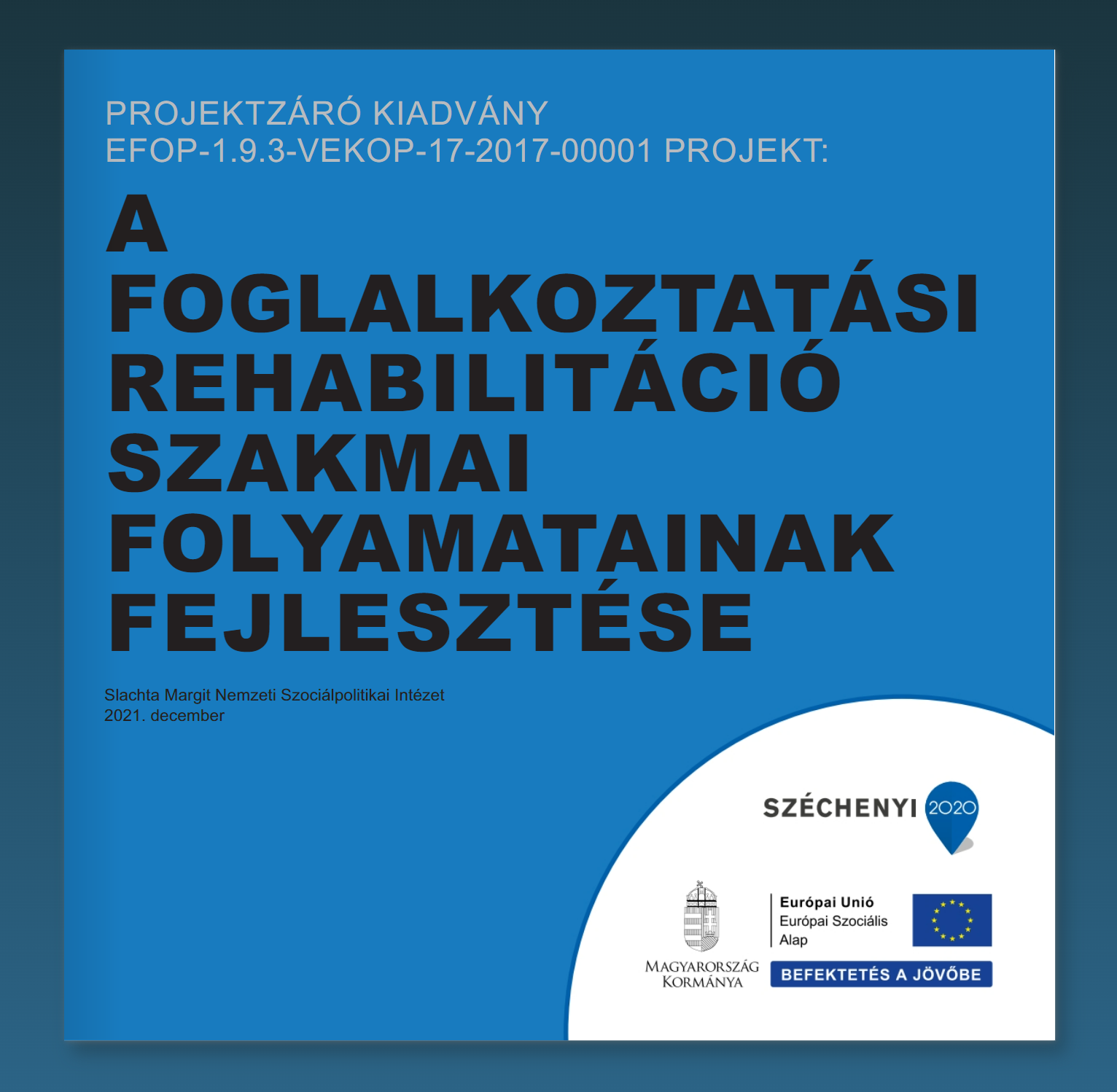 Az EFOP-1.9.3 projekt zárókiadványának előnézete